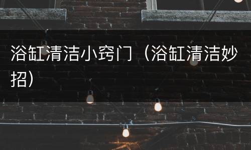 浴缸清洁小窍门（浴缸清洁妙招）