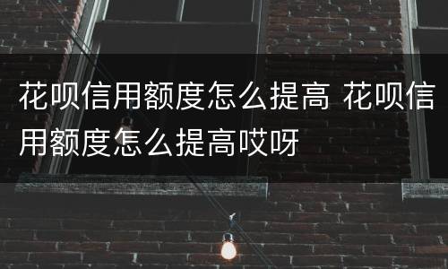花呗信用额度怎么提高 花呗信用额度怎么提高哎呀