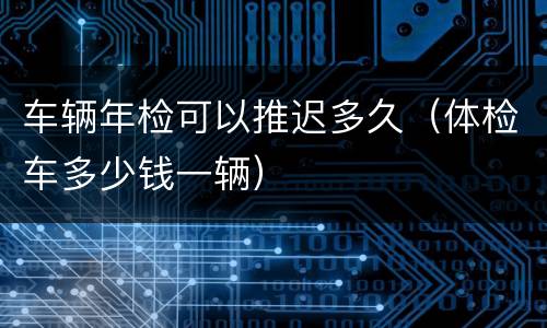 车辆年检可以推迟多久（体检车多少钱一辆）