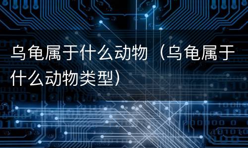 乌龟属于什么动物（乌龟属于什么动物类型）