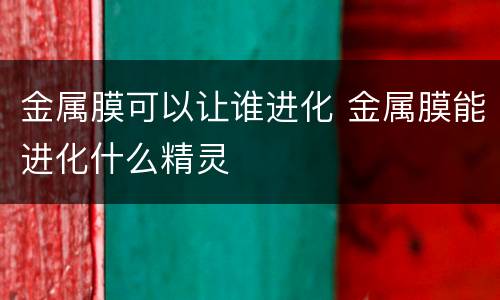 金属膜可以让谁进化 金属膜能进化什么精灵