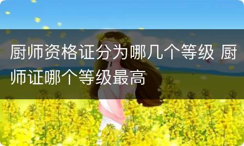 厨师资格证分为哪几个等级 厨师证哪个等级最高