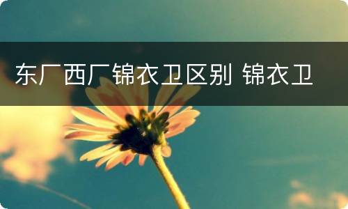 东厂西厂锦衣卫区别 锦衣卫