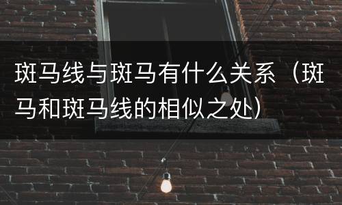 斑马线与斑马有什么关系（斑马和斑马线的相似之处）