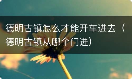 德明古镇怎么才能开车进去（德明古镇从哪个门进）
