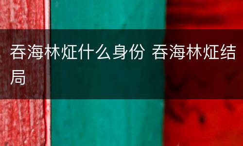 吞海林炡什么身份 吞海林炡结局