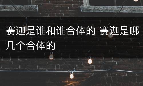 赛迦是谁和谁合体的 赛迦是哪几个合体的