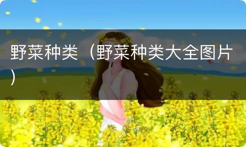 野菜种类（野菜种类大全图片）