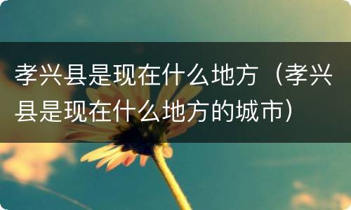 孝兴县是现在什么地方（孝兴县是现在什么地方的城市）