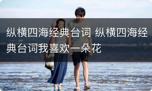纵横四海经典台词 纵横四海经典台词我喜欢一朵花