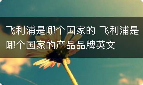 飞利浦是哪个国家的 飞利浦是哪个国家的产品品牌英文