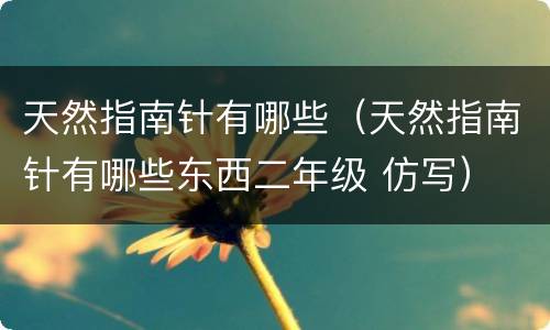 天然指南针有哪些（天然指南针有哪些东西二年级 仿写）