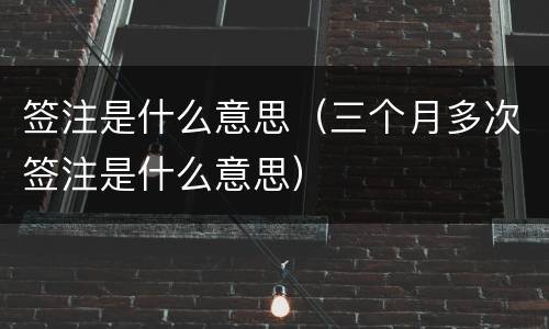 签注是什么意思（三个月多次签注是什么意思）