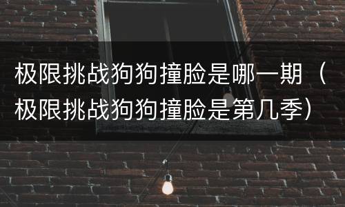 极限挑战狗狗撞脸是哪一期（极限挑战狗狗撞脸是第几季）