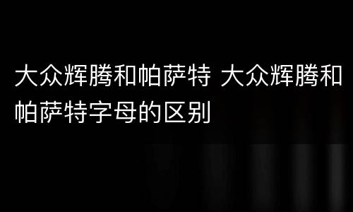 大众辉腾和帕萨特 大众辉腾和帕萨特字母的区别