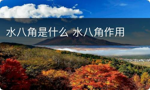 水八角是什么 水八角作用