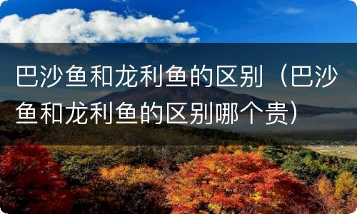巴沙鱼和龙利鱼的区别（巴沙鱼和龙利鱼的区别哪个贵）