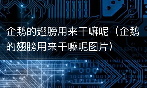 企鹅的翅膀用来干嘛呢（企鹅的翅膀用来干嘛呢图片）