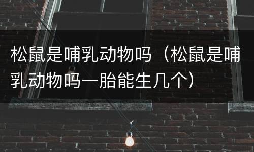 松鼠是哺乳动物吗（松鼠是哺乳动物吗一胎能生几个）