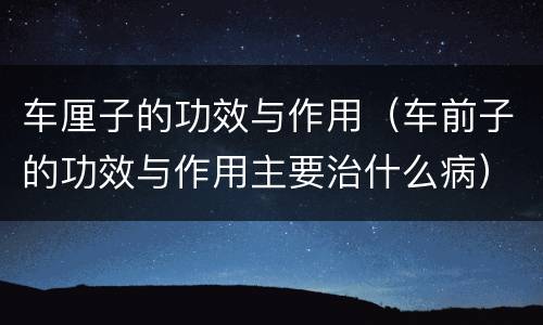 车厘子的功效与作用（车前子的功效与作用主要治什么病）