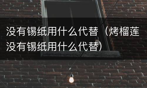 没有锡纸用什么代替（烤榴莲没有锡纸用什么代替）