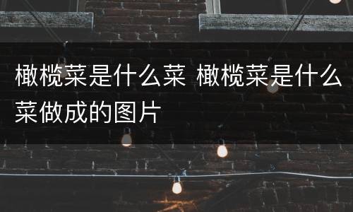 橄榄菜是什么菜 橄榄菜是什么菜做成的图片