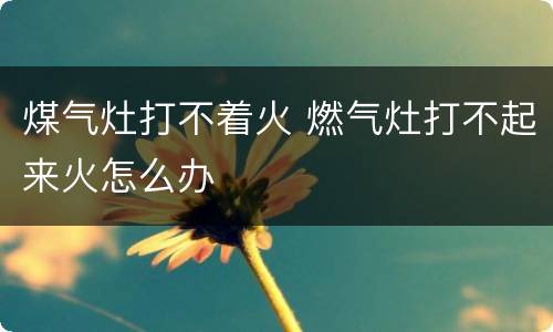 煤气灶打不着火 燃气灶打不起来火怎么办