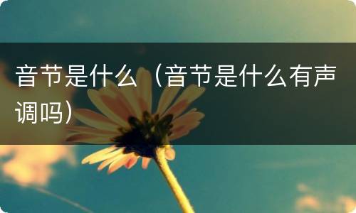 音节是什么（音节是什么有声调吗）