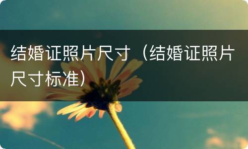 结婚证照片尺寸（结婚证照片尺寸标准）