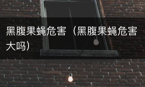 黑腹果蝇危害（黑腹果蝇危害大吗）