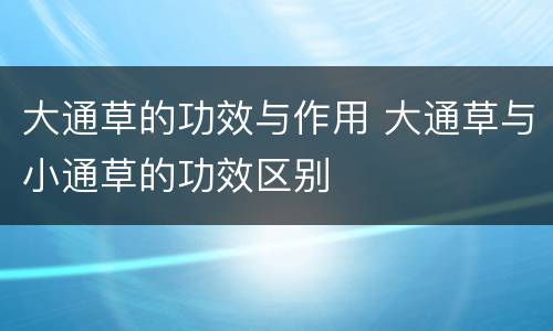 大通草的功效与作用 大通草与小通草的功效区别