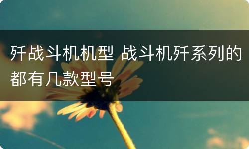 歼战斗机机型 战斗机歼系列的都有几款型号