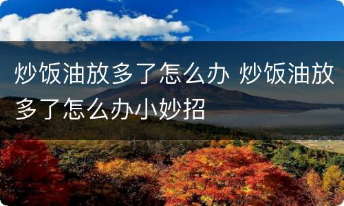 炒饭油放多了怎么办 炒饭油放多了怎么办小妙招