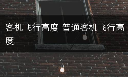 客机飞行高度 普通客机飞行高度