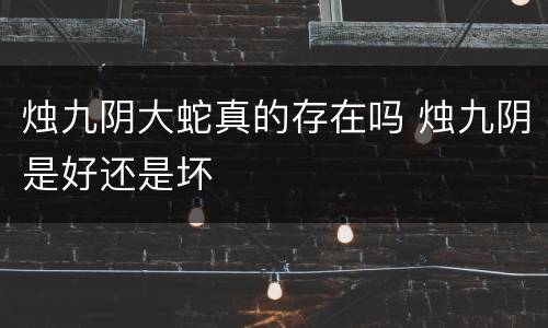 烛九阴大蛇真的存在吗 烛九阴是好还是坏