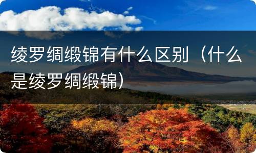 绫罗绸缎锦有什么区别（什么是绫罗绸缎锦）