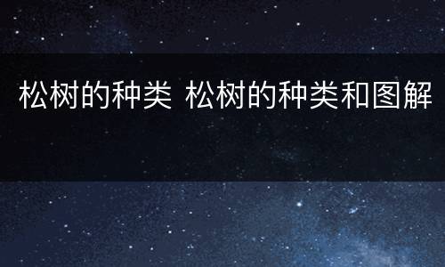 松树的种类 松树的种类和图解
