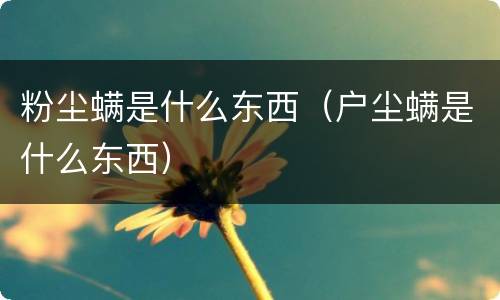 粉尘螨是什么东西（户尘螨是什么东西）