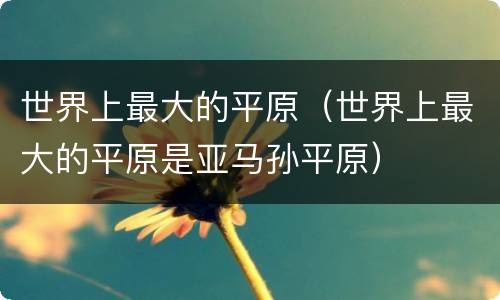 世界上最大的平原（世界上最大的平原是亚马孙平原）