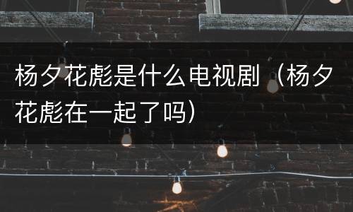 杨夕花彪是什么电视剧（杨夕花彪在一起了吗）