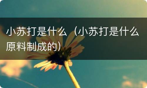 小苏打是什么（小苏打是什么原料制成的）