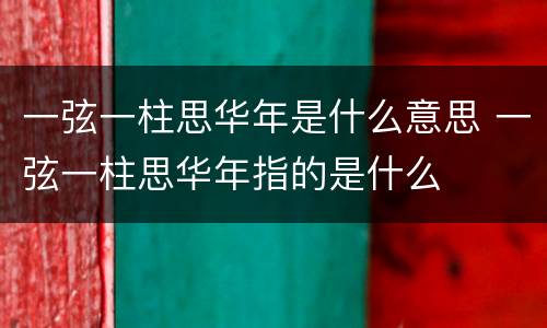 一弦一柱思华年是什么意思 一弦一柱思华年指的是什么