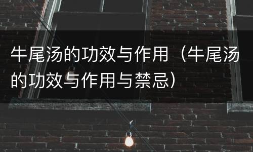 牛尾汤的功效与作用（牛尾汤的功效与作用与禁忌）
