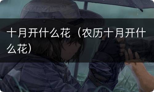 十月开什么花（农历十月开什么花）