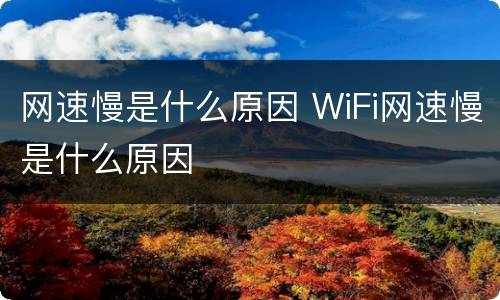 网速慢是什么原因 WiFi网速慢是什么原因