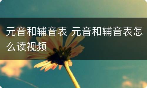 元音和辅音表 元音和辅音表怎么读视频