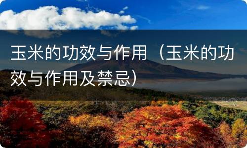 玉米的功效与作用（玉米的功效与作用及禁忌）