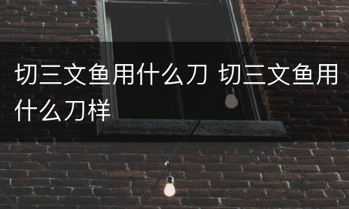 切三文鱼用什么刀 切三文鱼用什么刀样