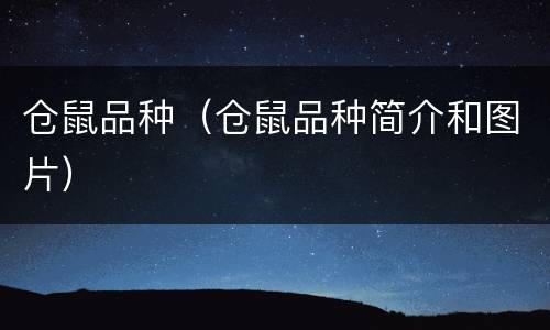 仓鼠品种（仓鼠品种简介和图片）