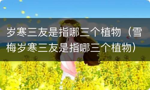 岁寒三友是指哪三个植物（雪梅岁寒三友是指哪三个植物）